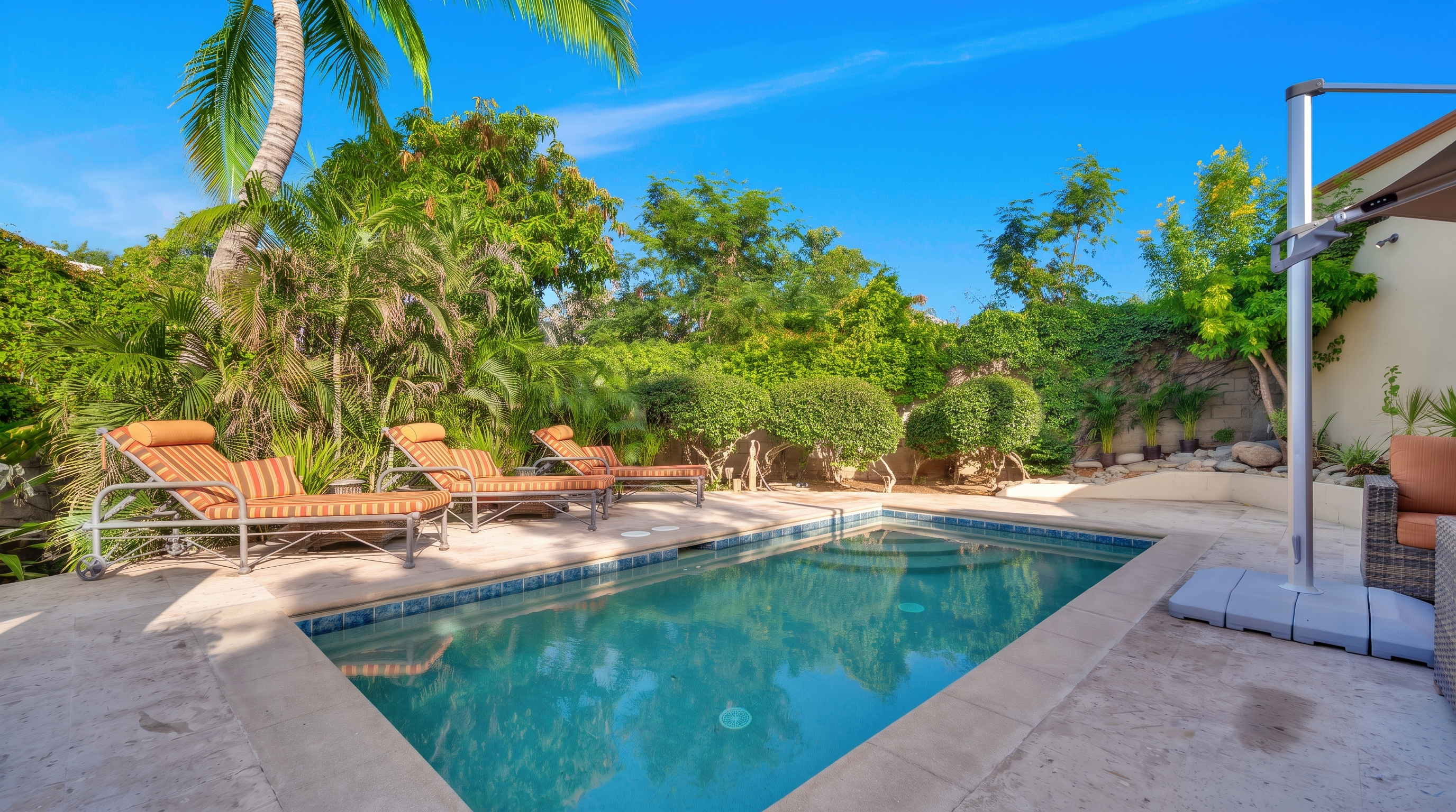 Pool deck surrounded by palms and gardens
