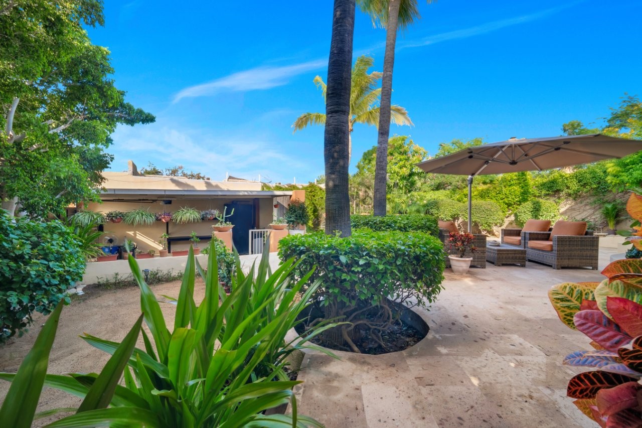 Mature landscaping around the pool